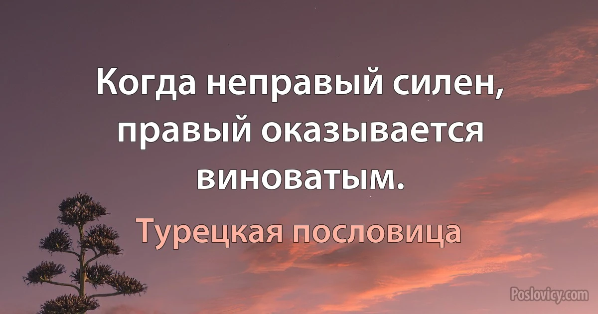 Когда неправый силен, правый оказывается виноватым. (Турецкая пословица)