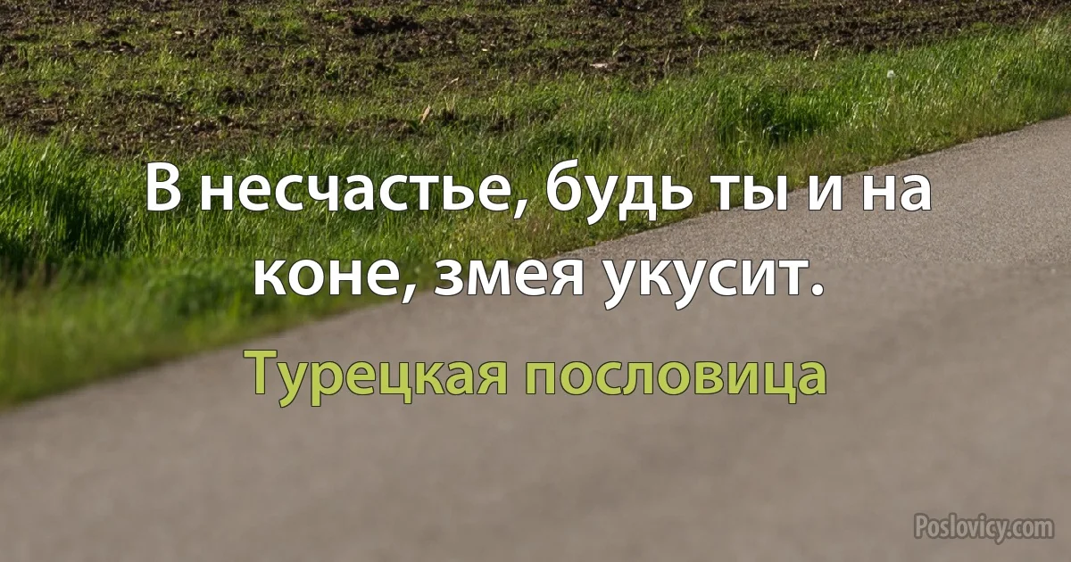 В несчастье, будь ты и на коне, змея укусит. (Турецкая пословица)