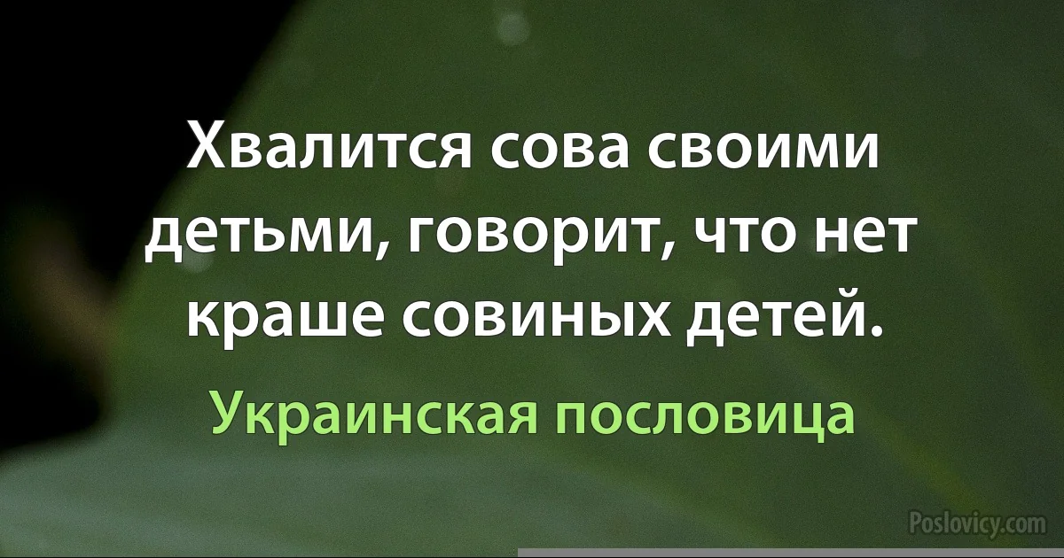 Хвалится сова своими детьми, говорит, что нет краше совиных детей. (Украинская пословица)