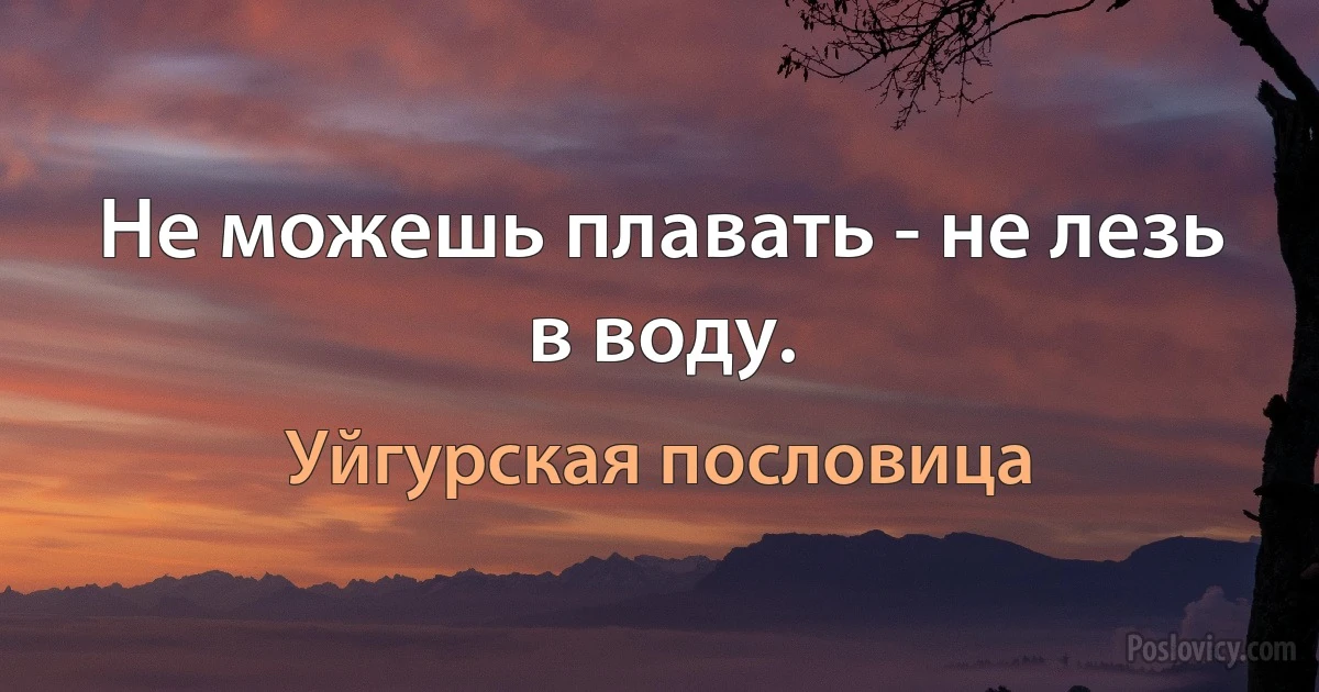 Не можешь плавать - не лезь в воду. (Уйгурская пословица)