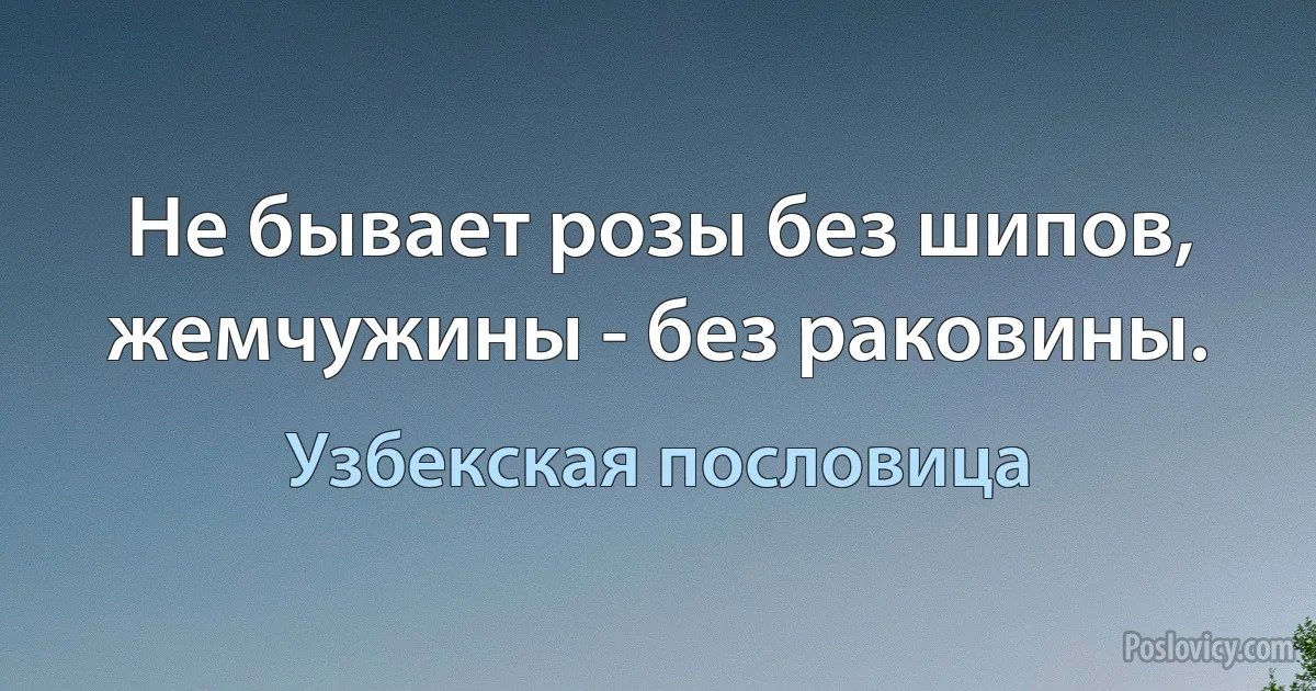 Не бывает розы без шипов, жемчужины - без раковины. (Узбекская пословица)