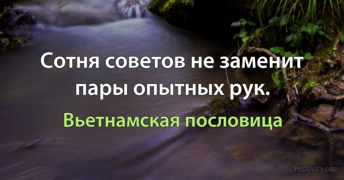 Сотня советов не заменит пары опытных рук. (Вьетнамская пословица)