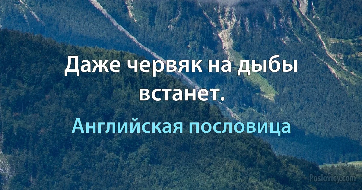 Даже червяк на дыбы встанет. (Английская пословица)