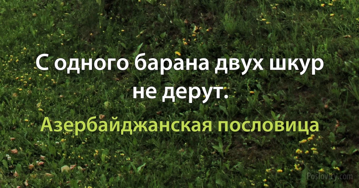 С одного барана двух шкур не дерут. (Азербайджанская пословица)