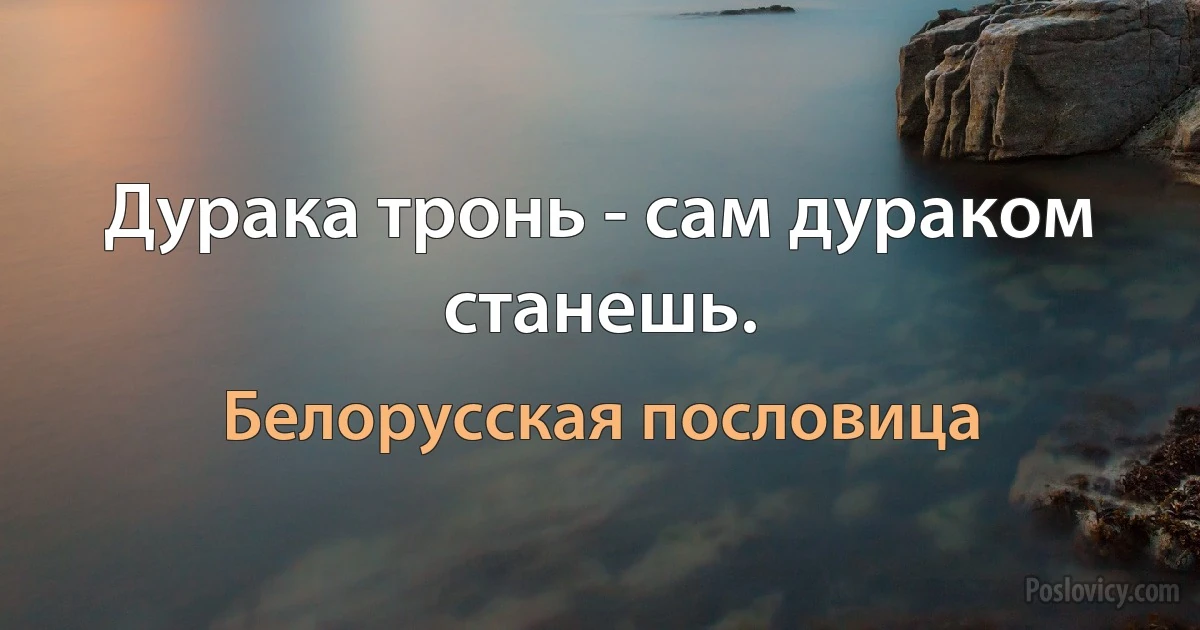 Дурака тронь - сам дураком станешь. (Белорусская пословица)