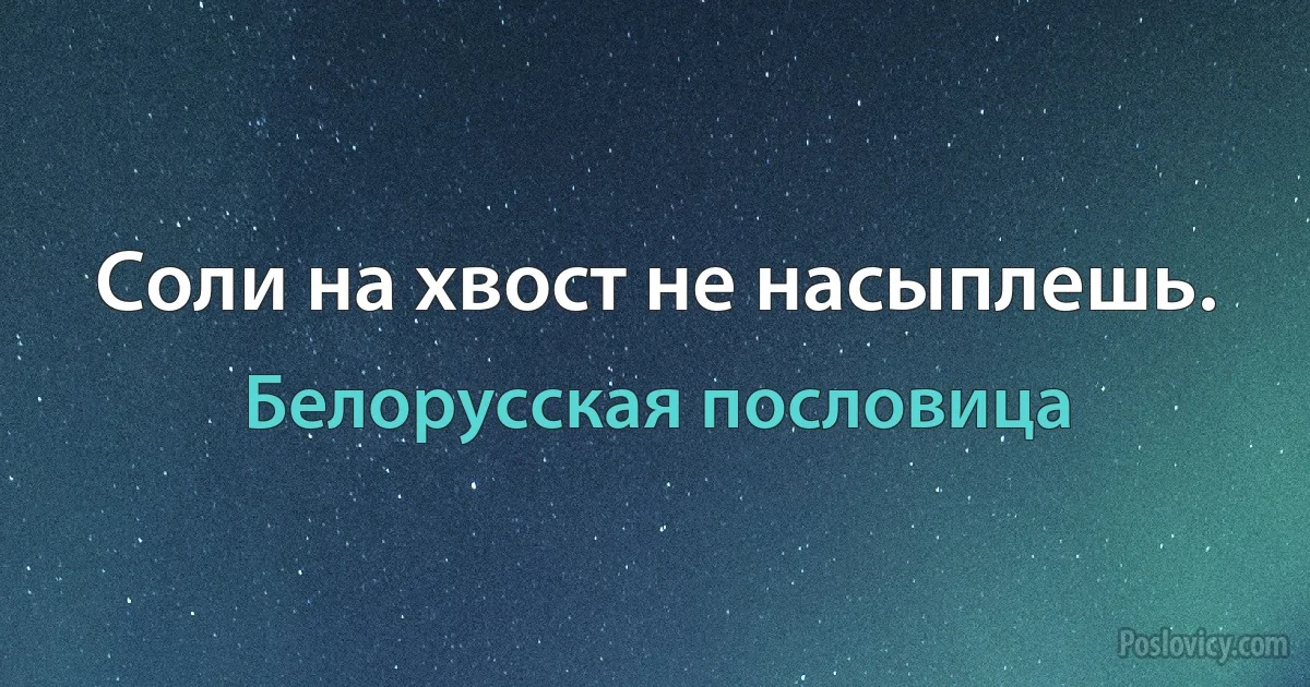 Соли на хвост не насыплешь. (Белорусская пословица)