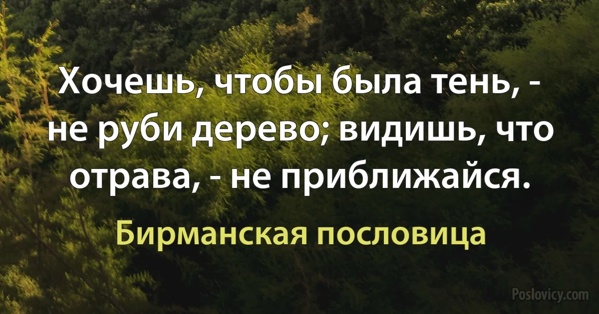 Хочешь, чтобы была тень, - не руби дерево; видишь, что отрава, - не приближайся. (Бирманская пословица)