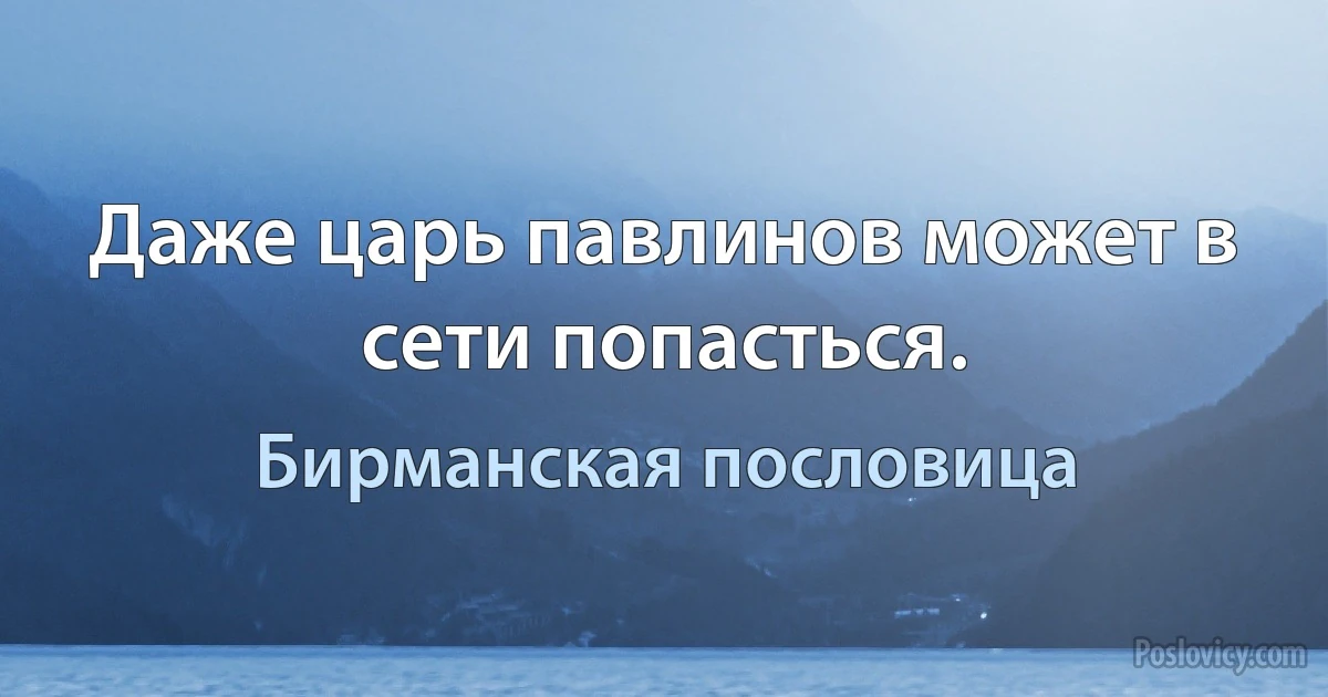 Даже царь павлинов может в сети попасться. (Бирманская пословица)