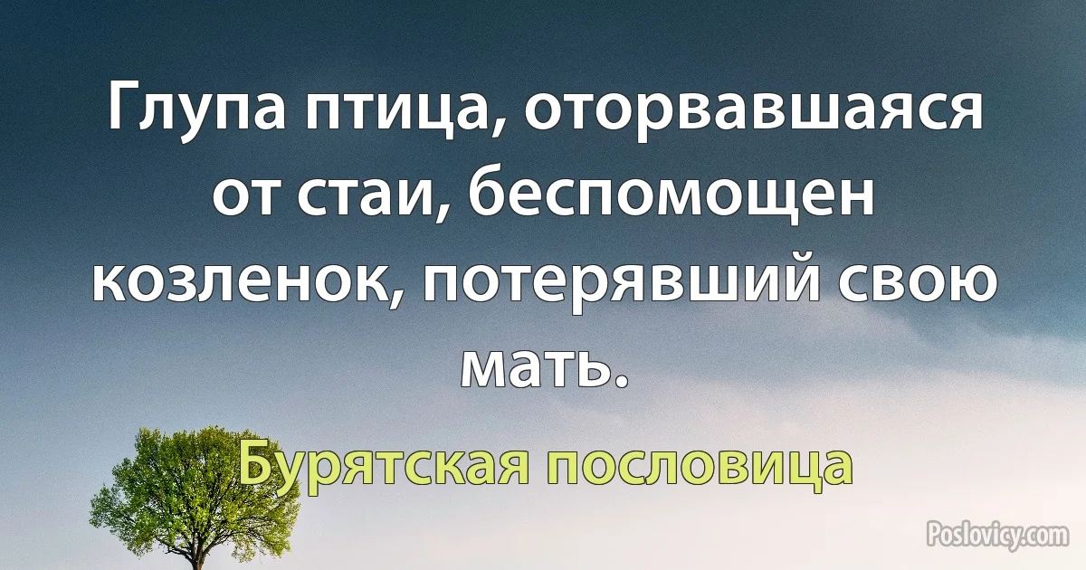 Глупа птица, оторвавшаяся от стаи, беспомощен козленок, потерявший свою мать. (Бурятская пословица)