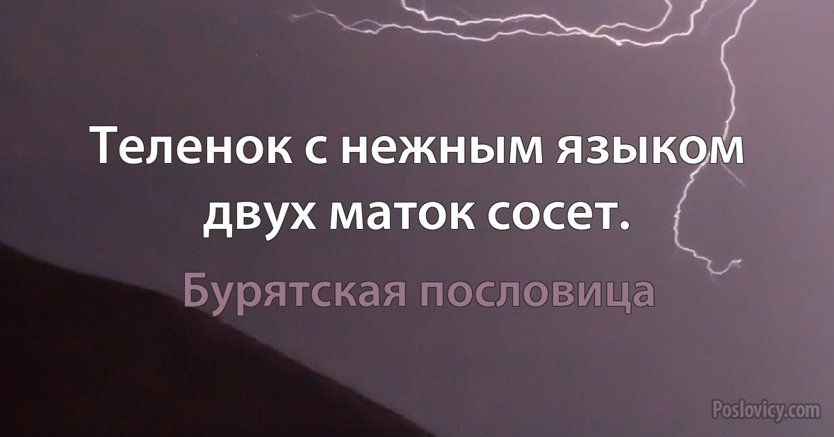 Теленок с нежным языком двух маток сосет. (Бурятская пословица)