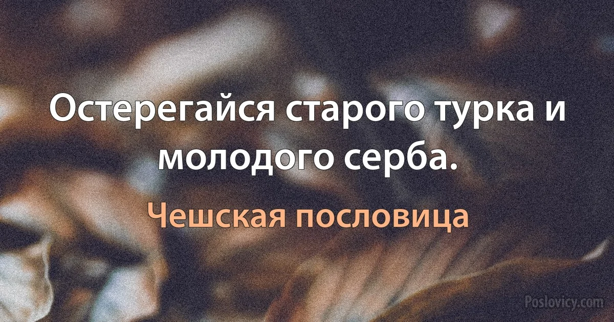 Остерегайся старого турка и молодого серба. (Чешская пословица)