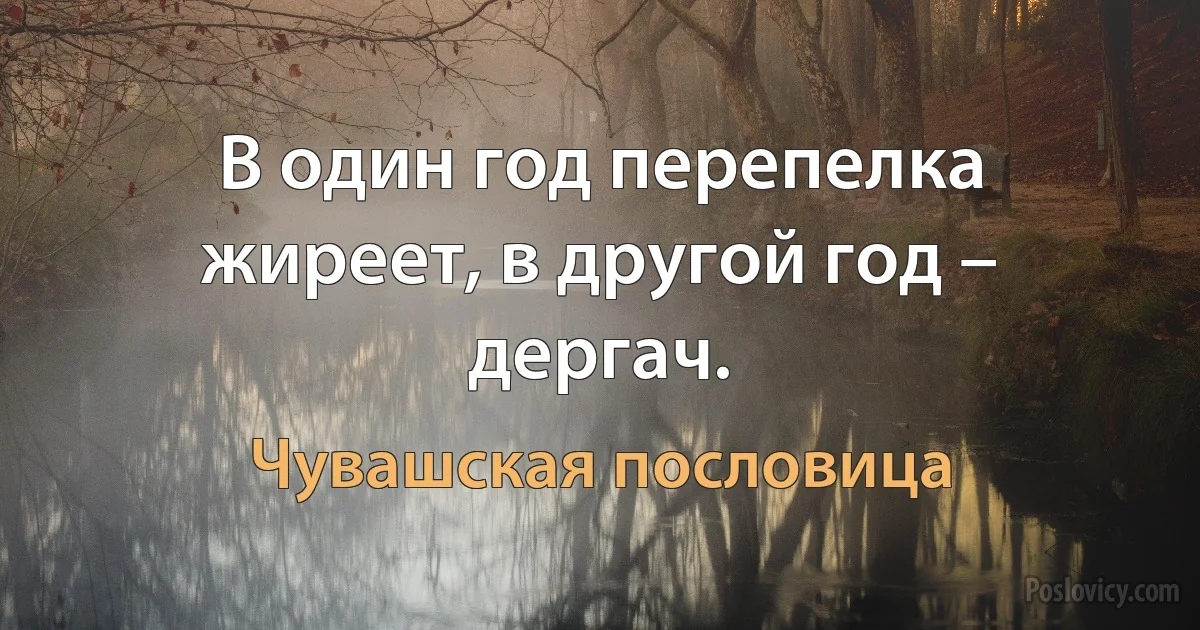 В один год перепелка жиреет, в другой год – дергач. (Чувашская пословица)