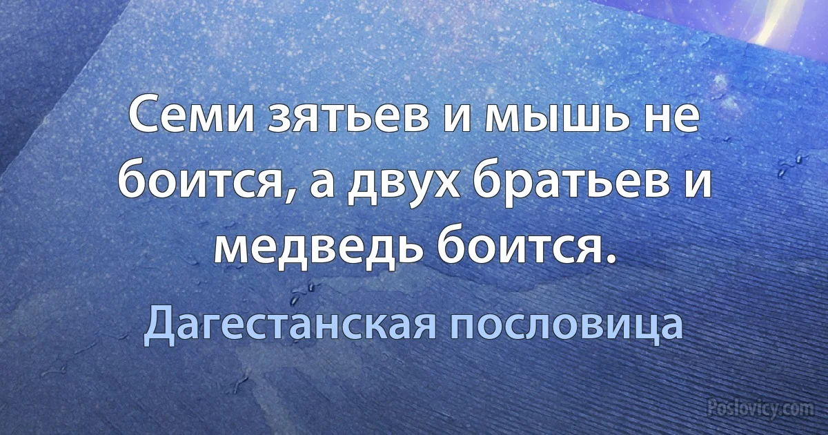 Семи зятьев и мышь не боится, а двух братьев и медведь боится. (Дагестанская пословица)