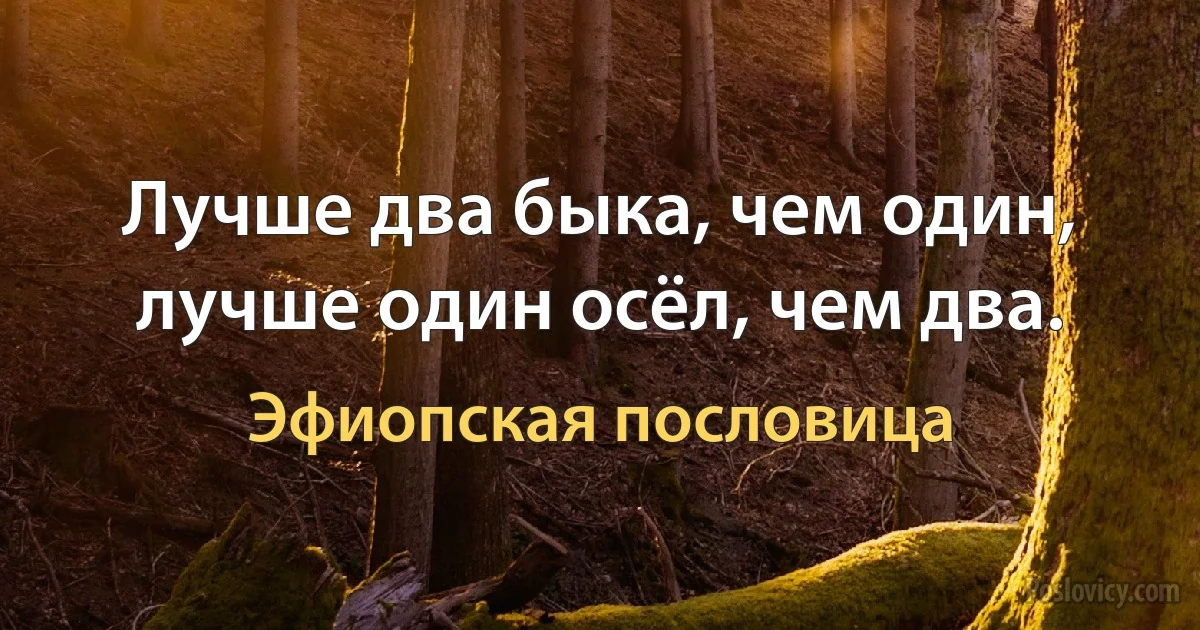 Лучше два быка, чем один, лучше один осёл, чем два. (Эфиопская пословица)