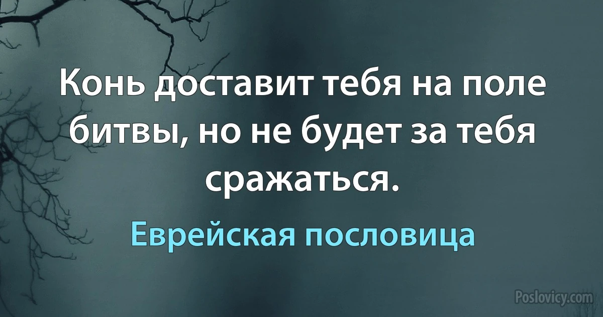 Конь доставит тебя на поле битвы, но не будет за тебя сражаться. (Еврейская пословица)