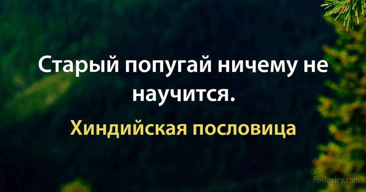 Старый попугай ничему не научится. (Хиндийская пословица)