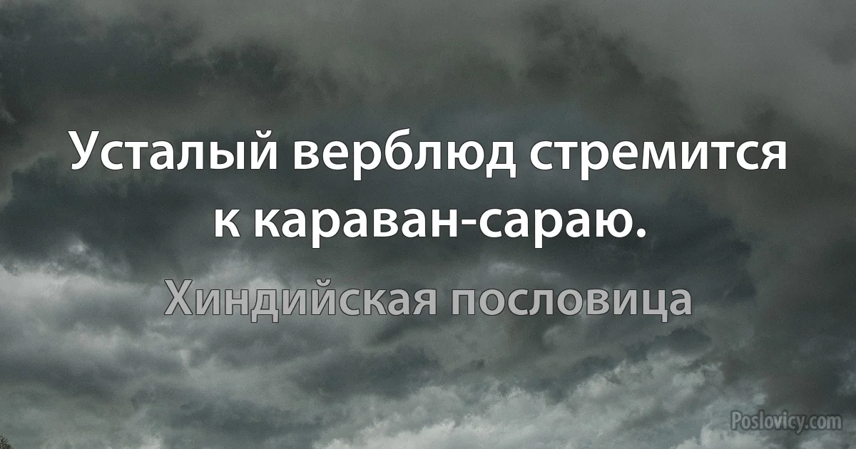 Усталый верблюд стремится к караван-сараю. (Хиндийская пословица)