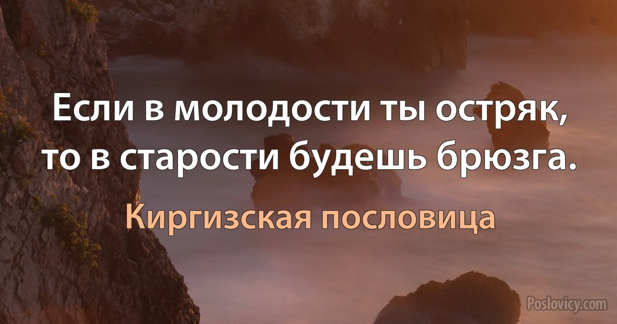 Если в молодости ты остряк, то в старости будешь брюзга. (Киргизская пословица)