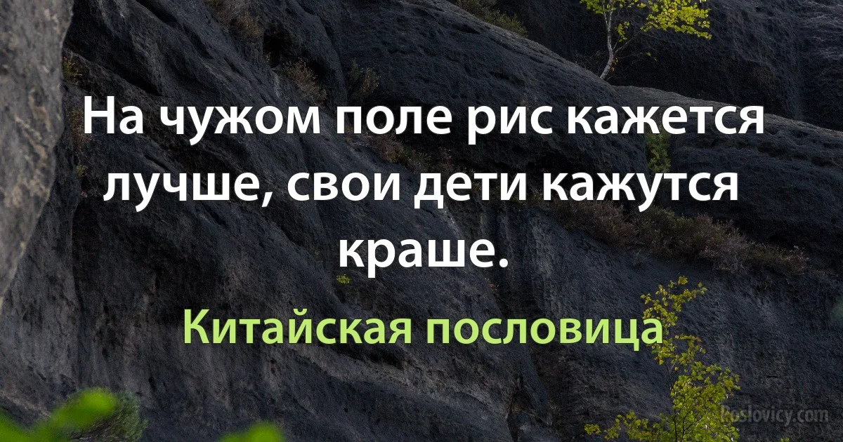 На чужом поле рис кажется лучше, свои дети кажутся краше. (Китайская пословица)