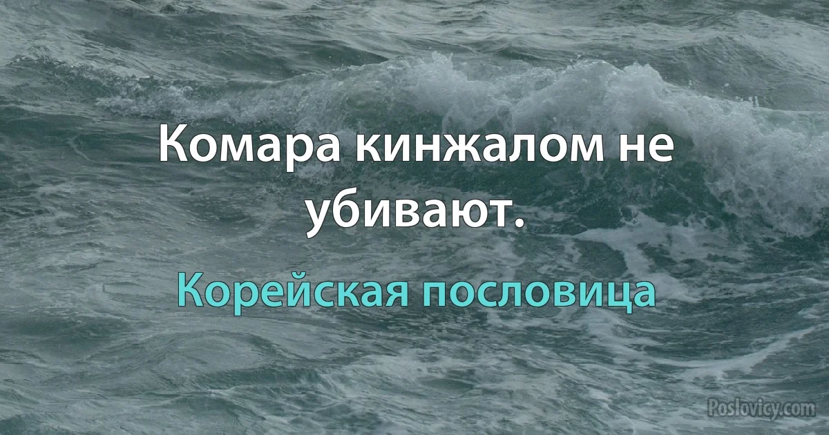 Комара кинжалом не убивают. (Корейская пословица)