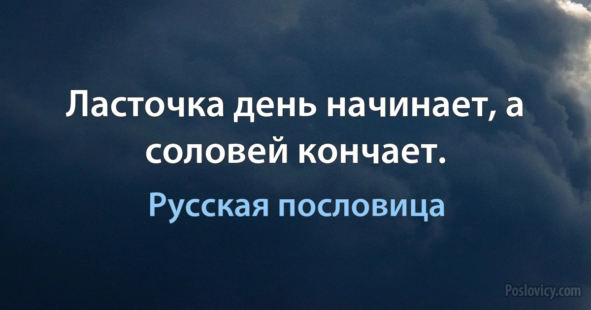 Ласточка день начинает, а соловей кончает. (Русская пословица)