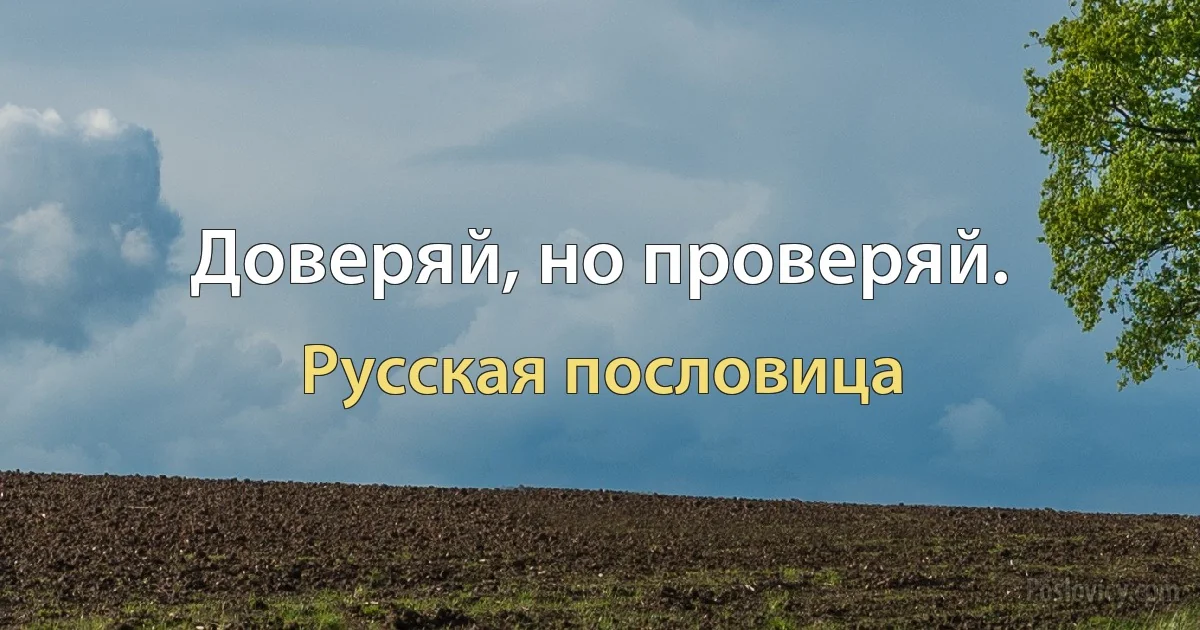 Доверяй, но проверяй. (Русская пословица)