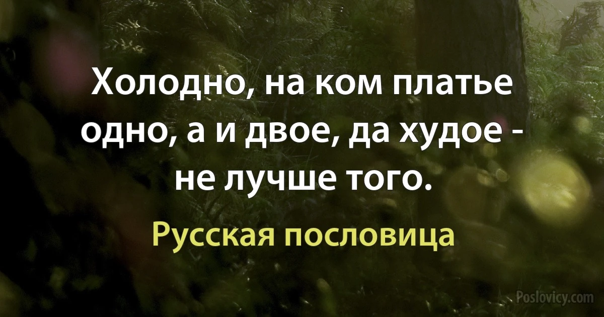 Холодно, на ком платье одно, а и двое, да худое - не лучше того. (Русская пословица)