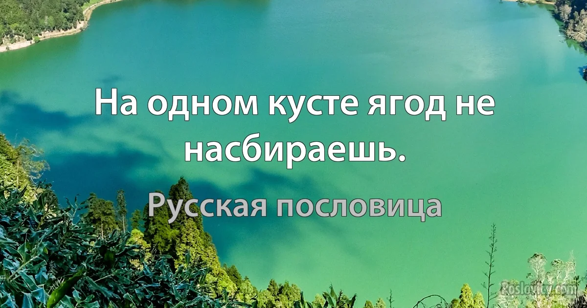 На одном кусте ягод не насбираешь. (Русская пословица)