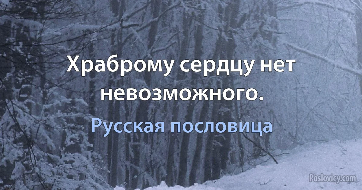 Храброму сердцу нет невозможного. (Русская пословица)