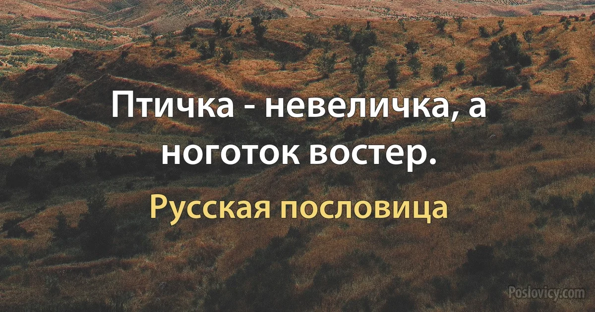 Птичка - невеличка, а ноготок востер. (Русская пословица)