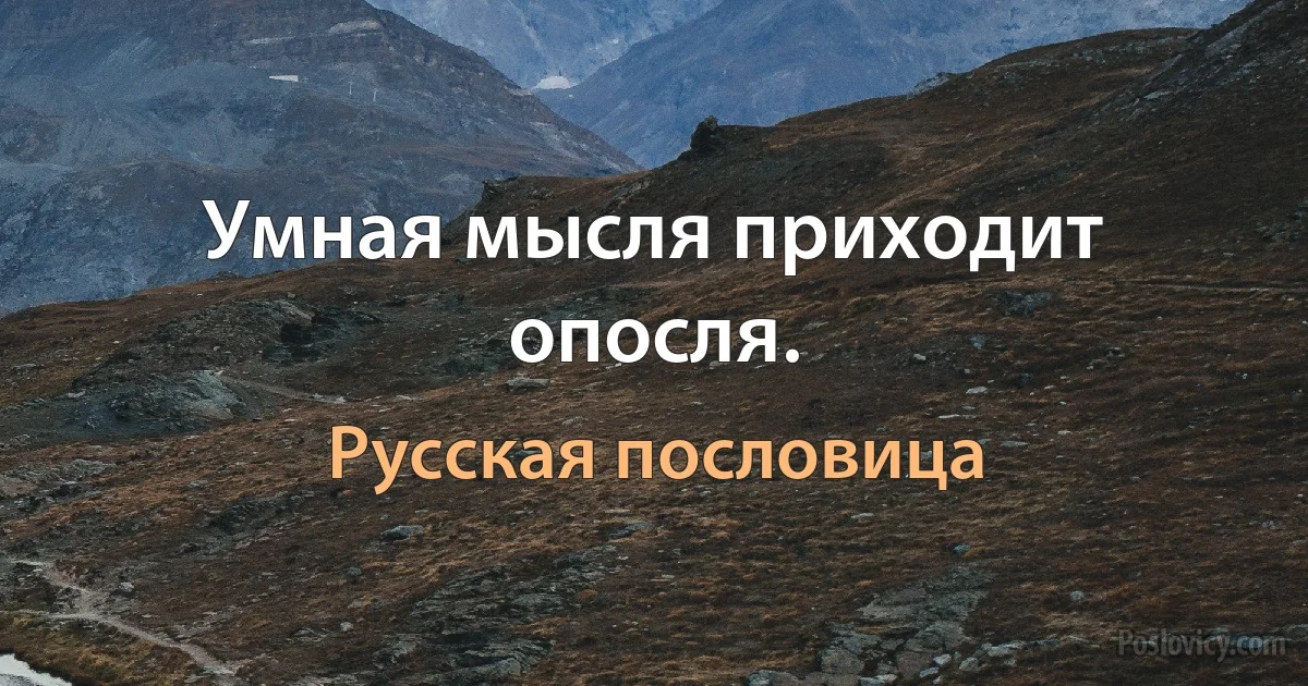 Умная мысля приходит опосля. (Русская пословица)