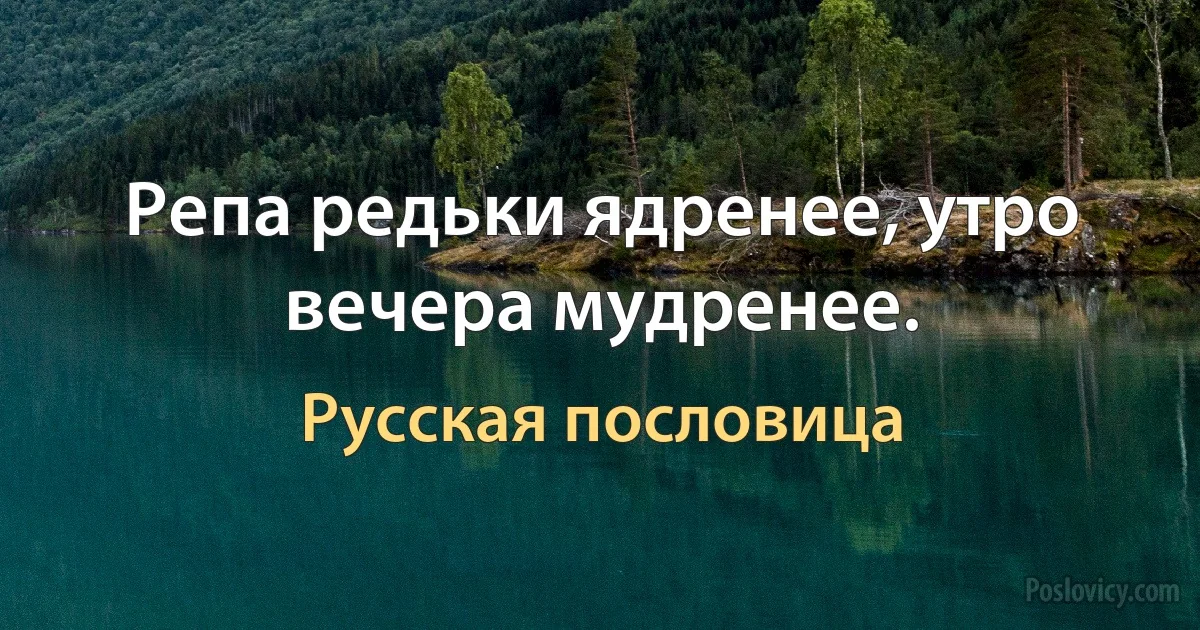 Репа редьки ядренее, утро вечера мудренее. (Русская пословица)