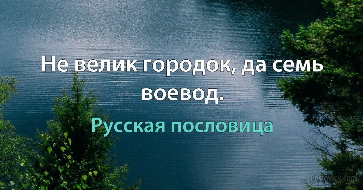 Не велик городок, да семь воевод. (Русская пословица)