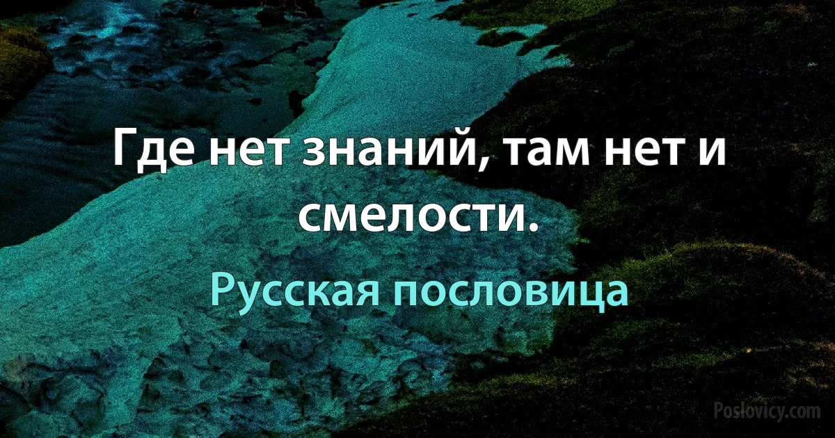 Где нет знаний, там нет и смелости. (Русская пословица)