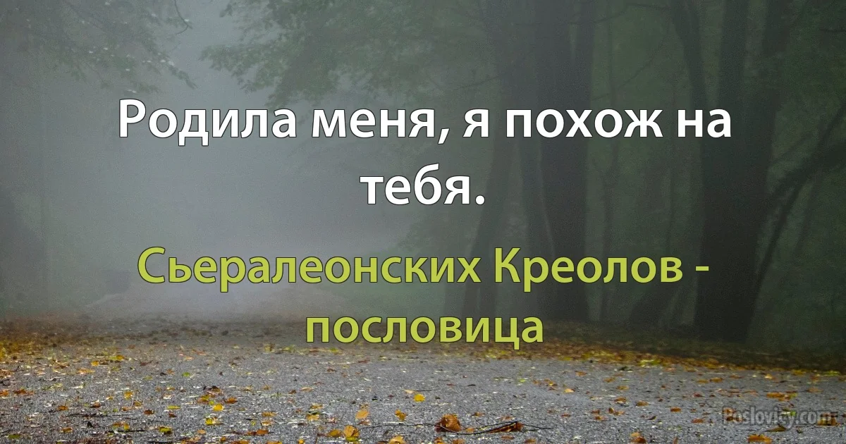 Родила меня, я похож на тебя. (Сьералеонских Креолов - пословица)