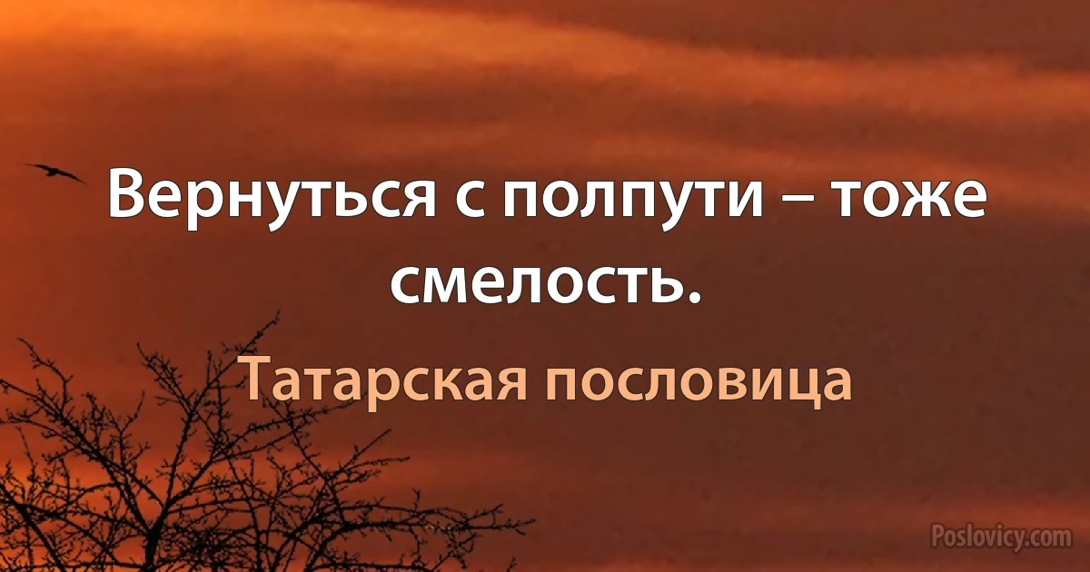 Вернуться с полпути – тоже смелость. (Татарская пословица)