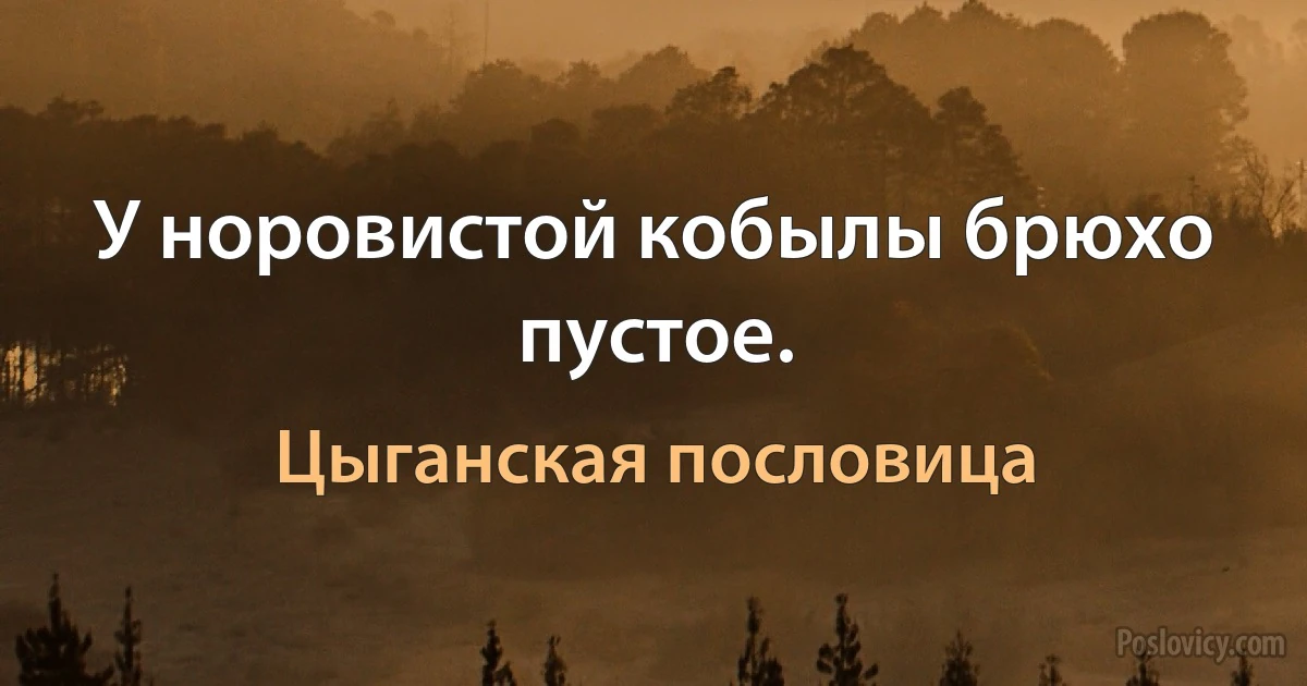 У норовистой кобылы брюхо пустое. (Цыганская пословица)