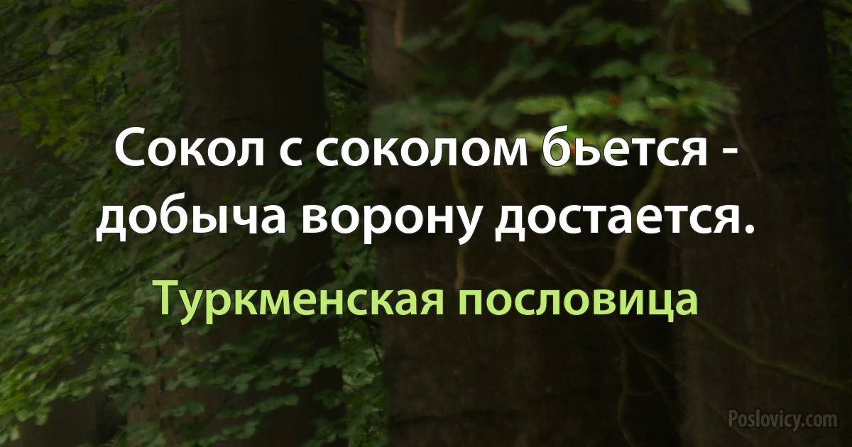 Сокол с соколом бьется - добыча ворону достается. (Туркменская пословица)