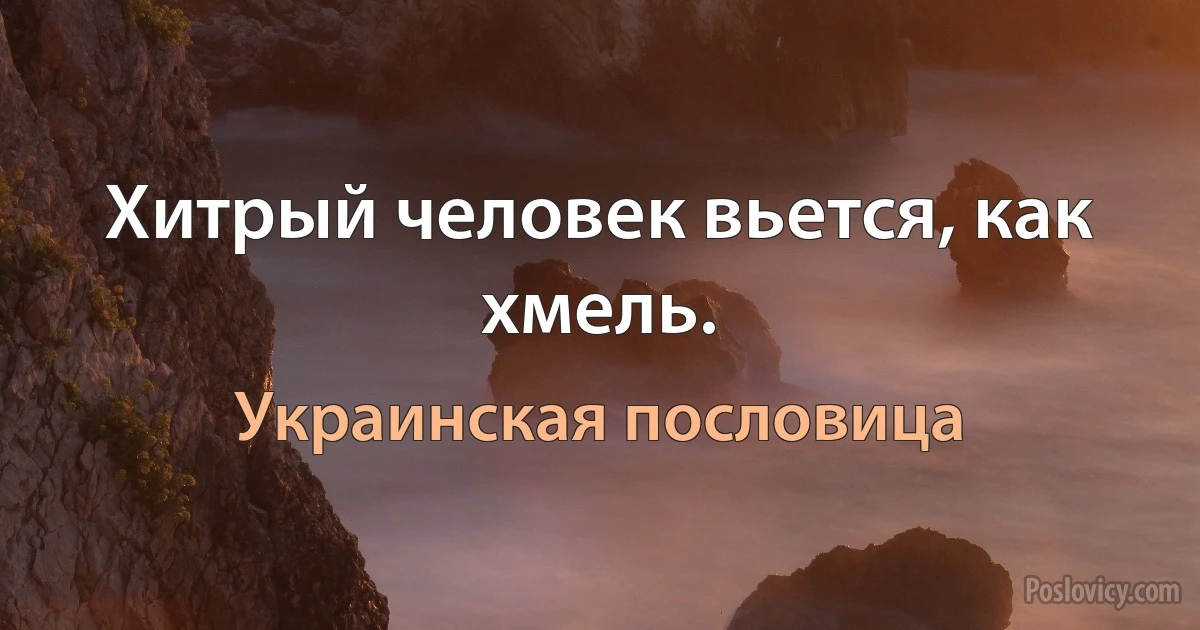 Хитрый человек вьется, как хмель. (Украинская пословица)