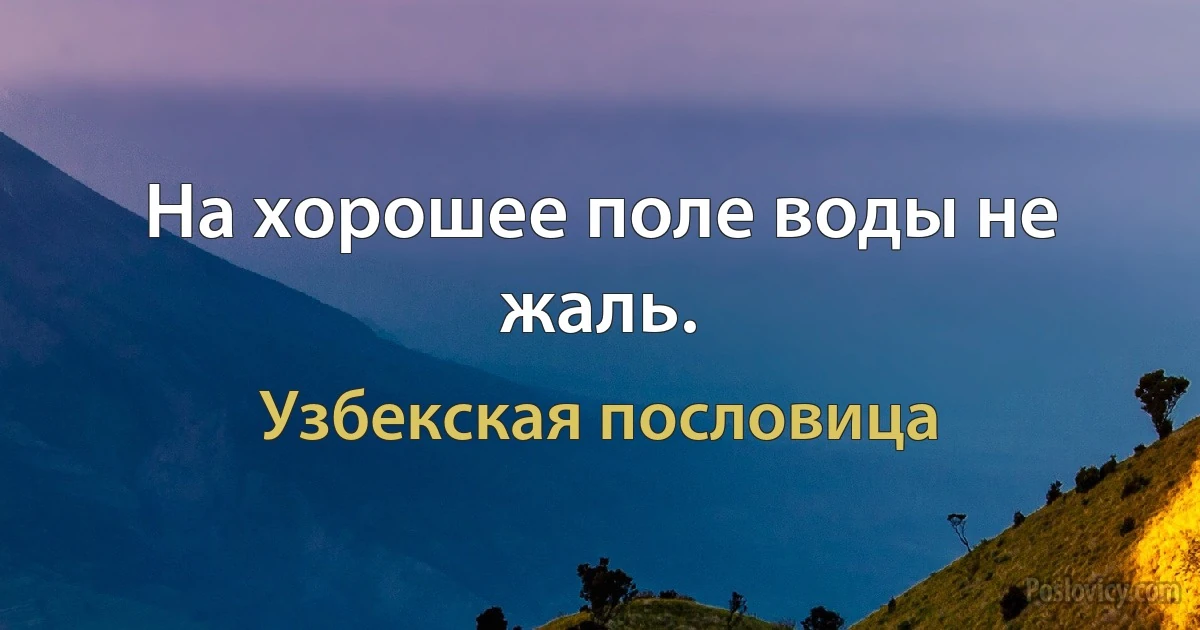 На хорошее поле воды не жаль. (Узбекская пословица)