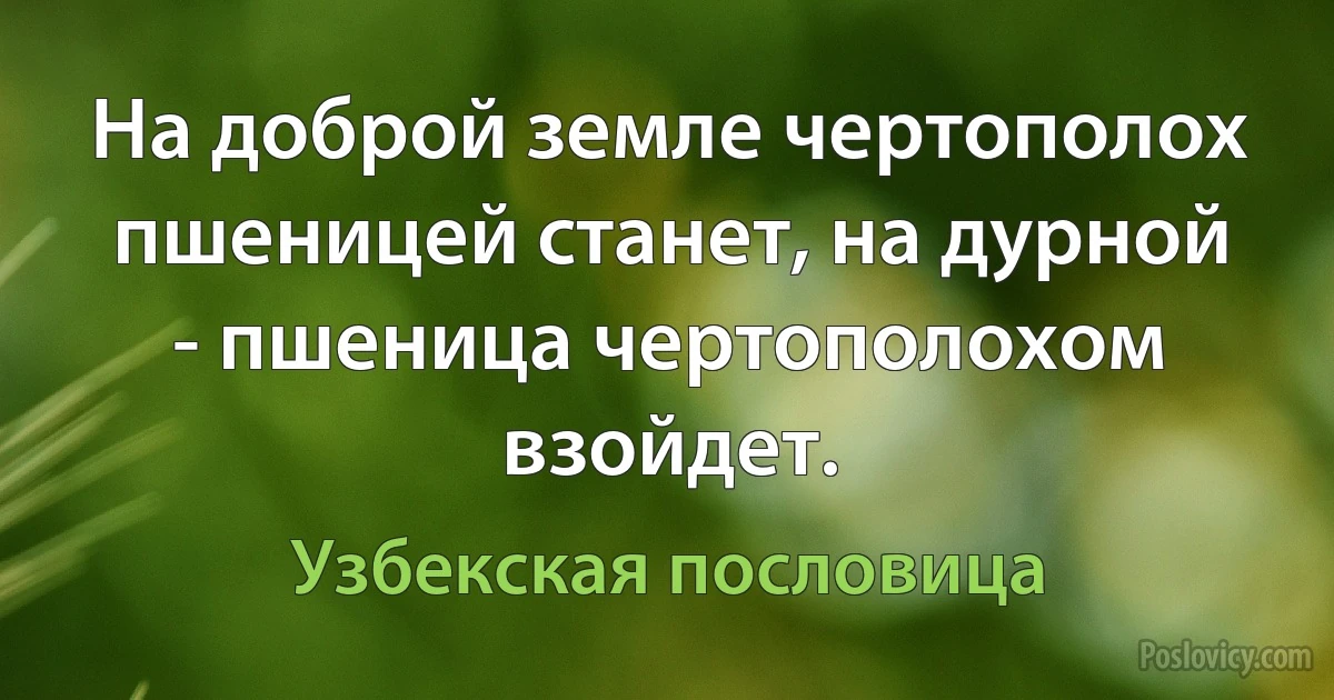 На доброй земле чертополох пшеницей станет, на дурной - пшеница чертополохом взойдет. (Узбекская пословица)