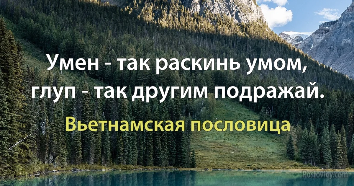 Умен - так раскинь умом, глуп - так другим подражай. (Вьетнамская пословица)