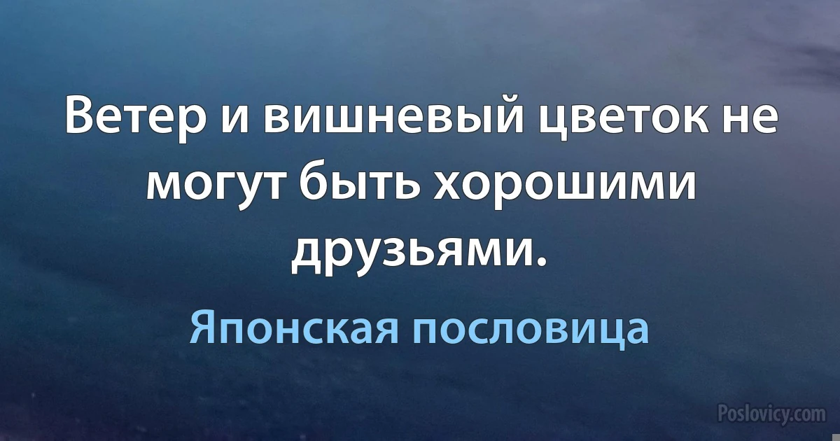 Ветер и вишневый цветок не могут быть хорошими друзьями. (Японская пословица)