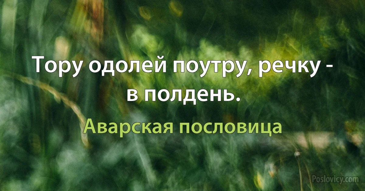 Тору одолей поутру, речку - в полдень. (Аварская пословица)