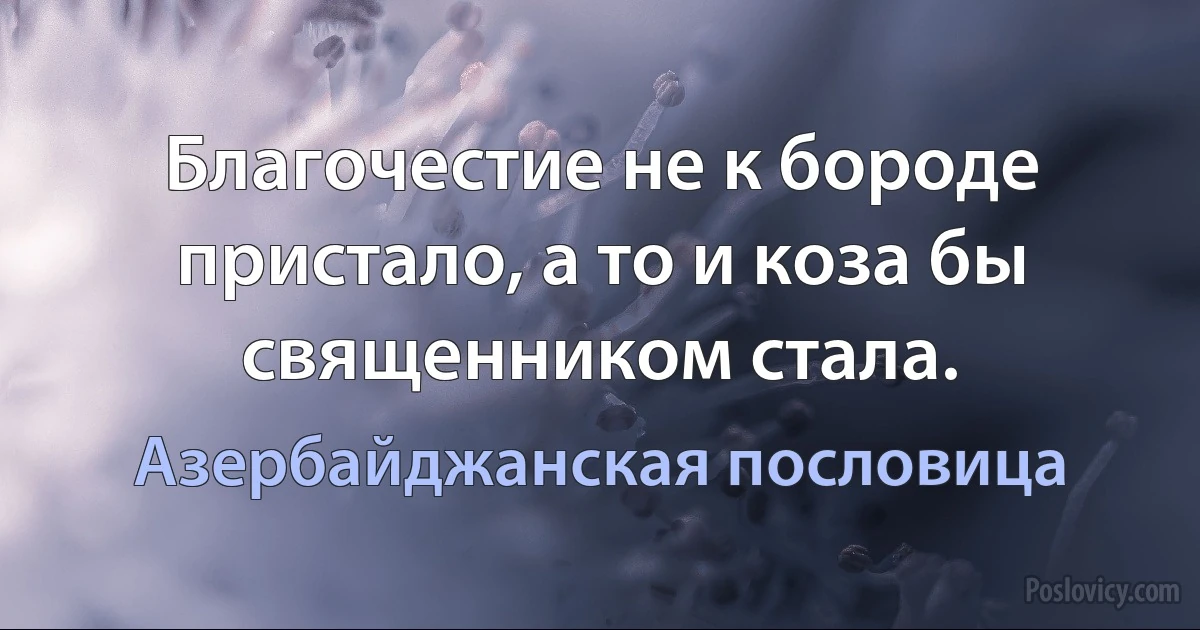 Благочестие не к бороде пристало, а то и коза бы священником стала. (Азербайджанская пословица)