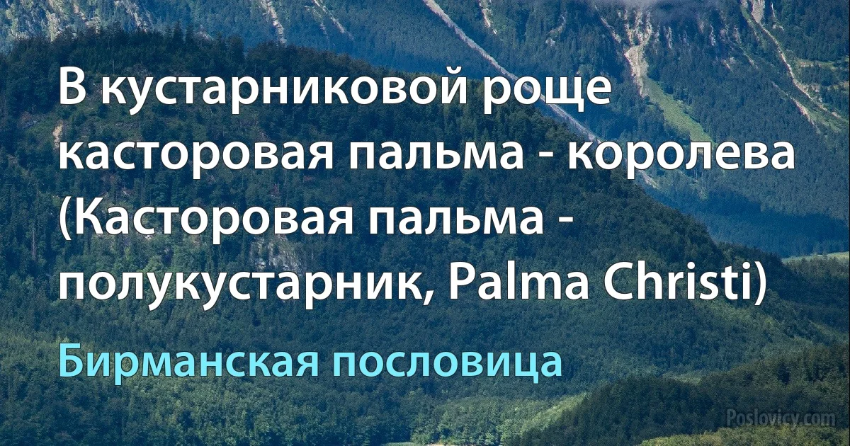 В кустарниковой роще касторовая пальма - королева (Касторовая пальма - полукустарник, Palma Christi) (Бирманская пословица)