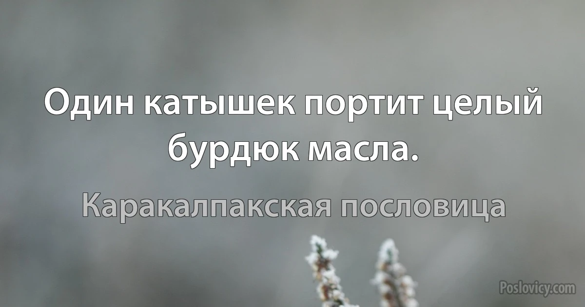 Один катышек портит целый бурдюк масла. (Каракалпакская пословица)