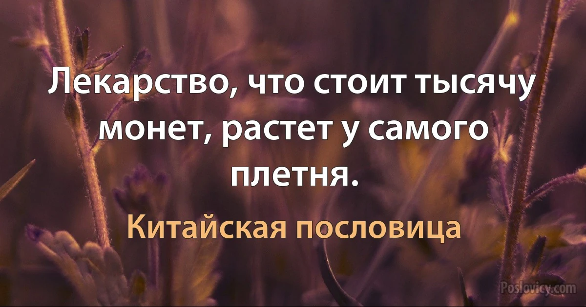 Лекарство, что стоит тысячу монет, растет у самого плетня. (Китайская пословица)