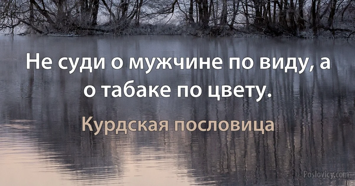 Не суди о мужчине по виду, а о табаке по цвету. (Курдская пословица)