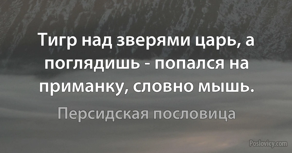 Тигр над зверями царь, а поглядишь - попался на приманку, словно мышь. (Персидская пословица)